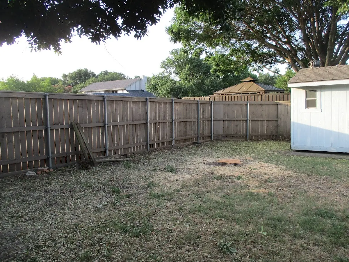 Cleared yard after professional tree removal in Meredosia